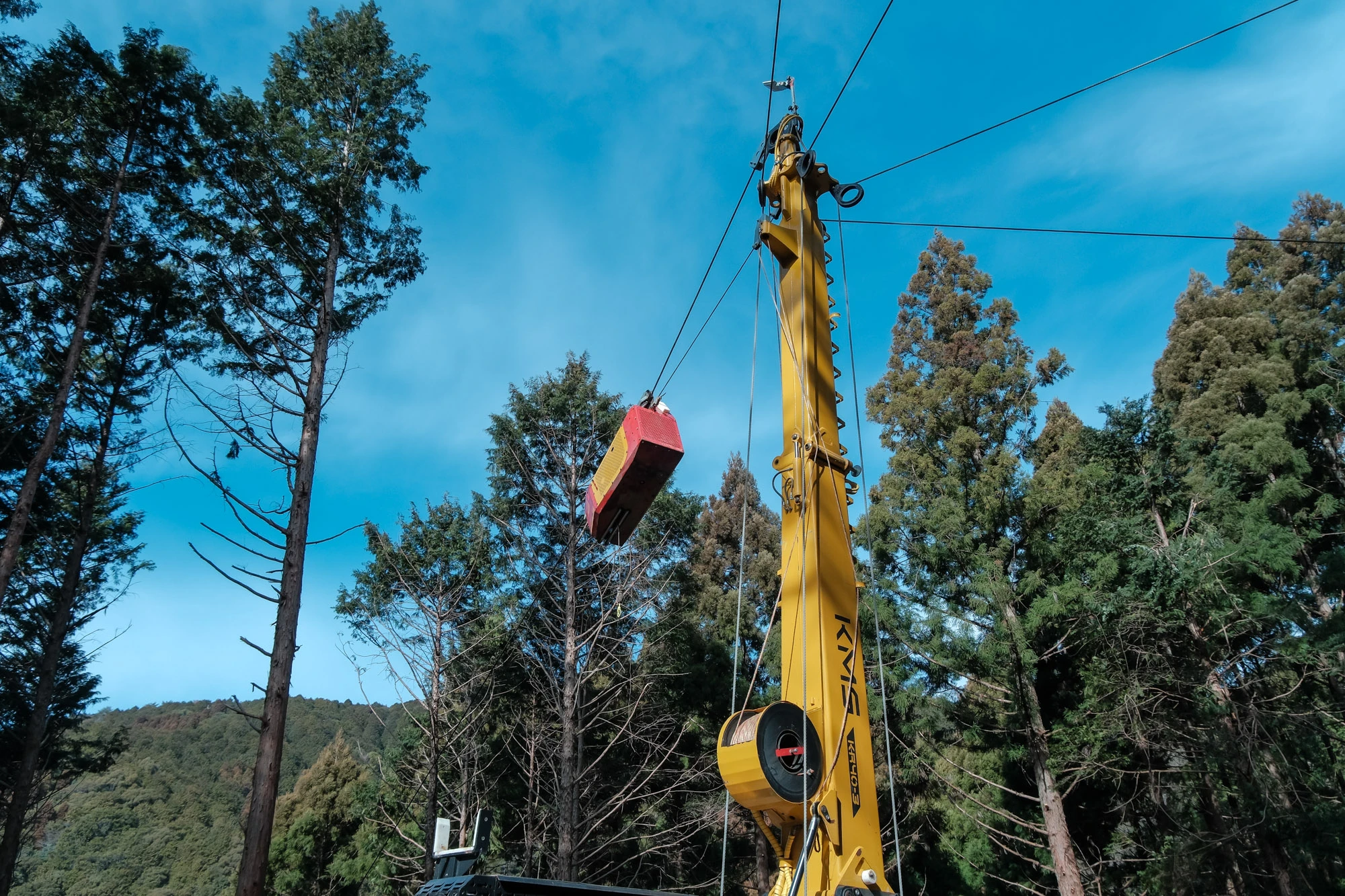 高知林業の仕事