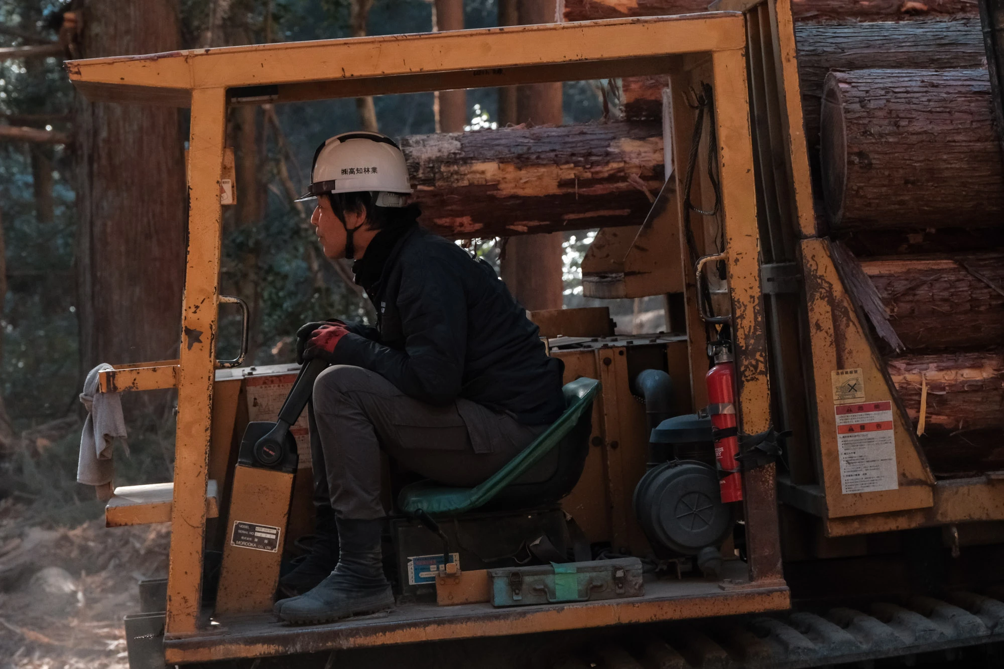 高知林業の仕事